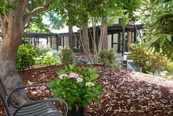  - Sheraton Hotel Palo Alto