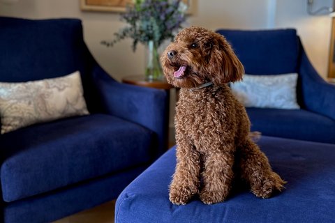 THE ST REGIS MARDAVALL MALLORC - Photo 90