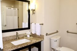  - Holiday Inn Express & Suites Brookhollow Houston