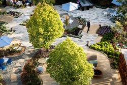  - Hotel NIA Menlo Park