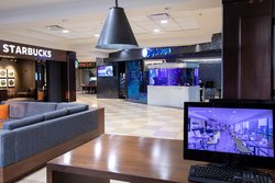  - Sheraton at the Falls Niagara Falls