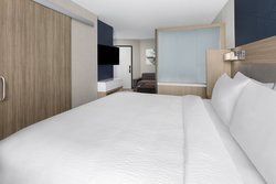  - SpringHill Suites by Marriott Meadowlands Carlstadt