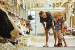  - Holiday Inn & Suites Ottawa