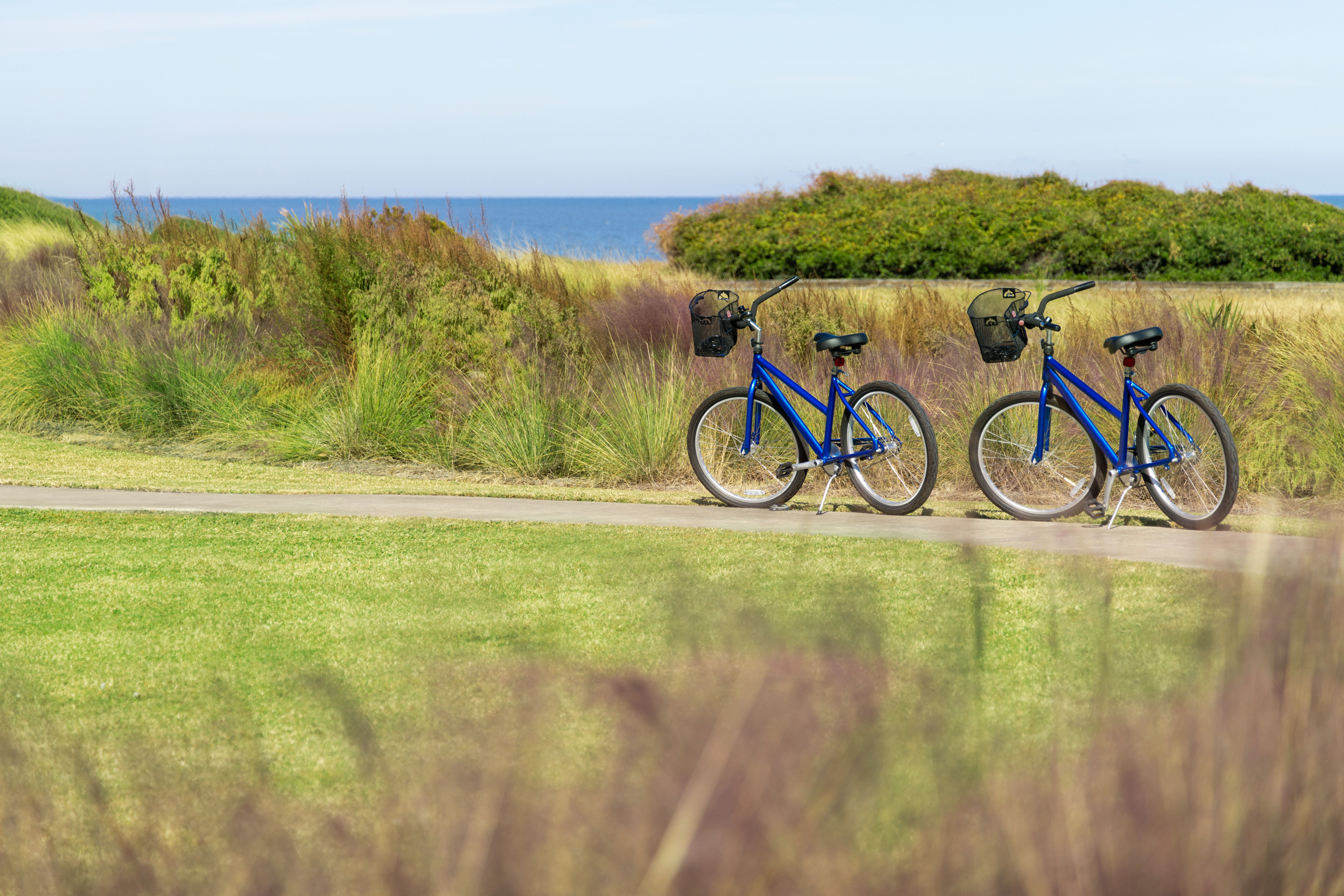 Guests will enjoy onsite bike rentals to explore the island!