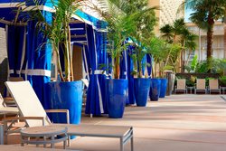  - Four Points by Sheraton Hotel LAX Airport Los Angeles