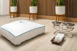  - Element Hotel Universal Blvd Orlando - I-4, Exit 74A