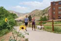  - Eddy Taproom & Hotel Golden