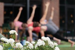  - Eddy Taproom & Hotel Golden