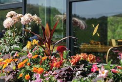  - Eddy Taproom & Hotel Golden