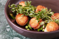  - Kimpton Forum Hotel Charlottesville