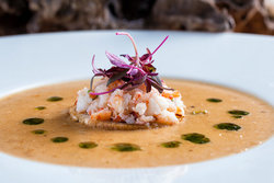  - Hutchinson Shores Resort & Spa Jensen Beach