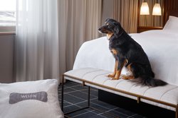  - Westin Hotel St Louis - I-64, Exits 39B & 40A