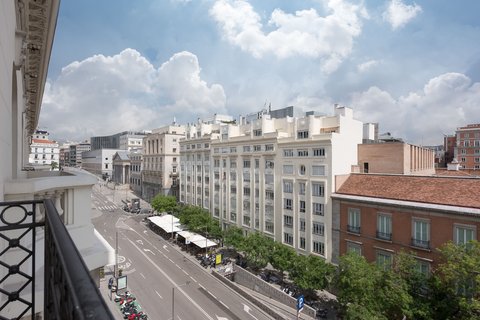 THE PALACE A LUXURY COLLECTION HOTEL MADRID - Photo 30