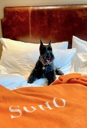  - Soho Grand Hotel New York