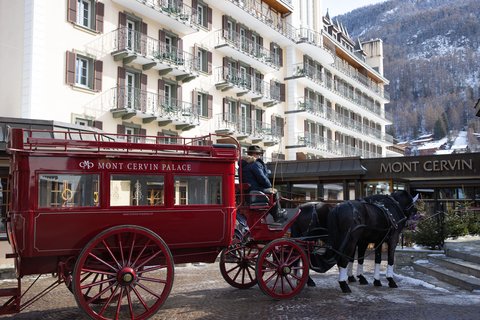 MONT CERVIN PALACE - Photo 9