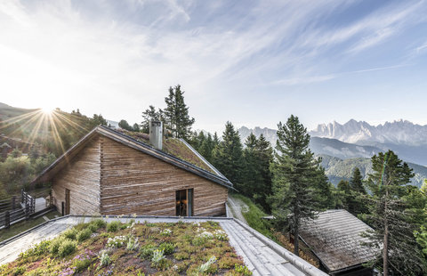 FORESTIS - Photo 40