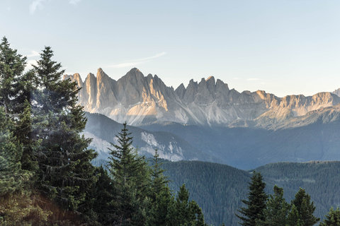 FORESTIS - Photo 47