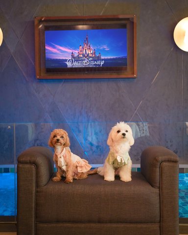 LA MINIERA POOL VILLAS PATTAYA - Photo 43