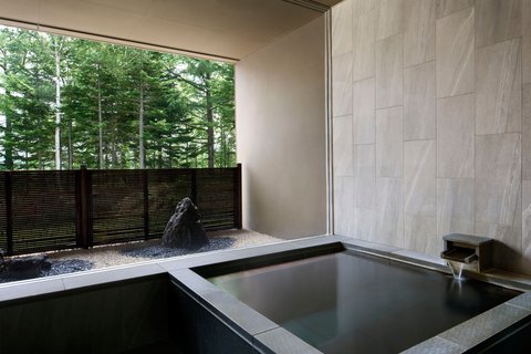 HIGASHIYAMA NISEKO VILLAGE, A RITZ-CARLTON RESERVE - Photo 46