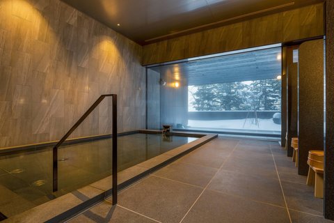 HIGASHIYAMA NISEKO VILLAGE, A RITZ-CARLTON RESERVE - Photo 47