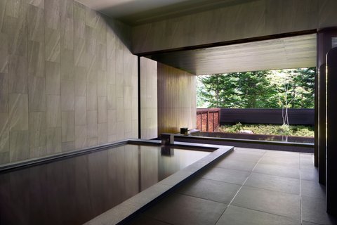 HIGASHIYAMA NISEKO VILLAGE, A RITZ-CARLTON RESERVE - Photo 48