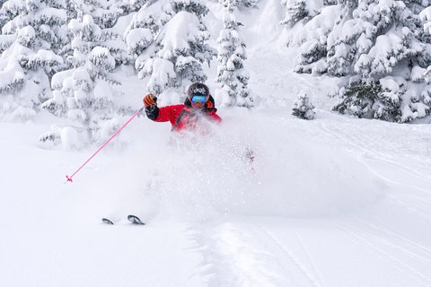 THE WESTIN RIVERFRONT RESORT - Photo 31