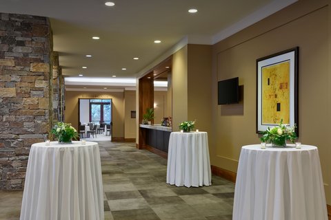 THE WESTIN RIVERFRONT RESORT - Photo 77