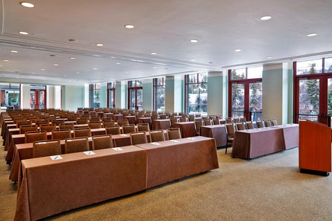 THE WESTIN RIVERFRONT RESORT - Photo 83