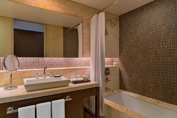 Traditional City View Bathroom-Shower/Tub