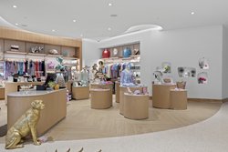  - Opal Grand Oceanfront Resort & Spa Delray Beach