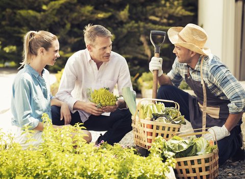 SHA WELLNESS - Photo 24