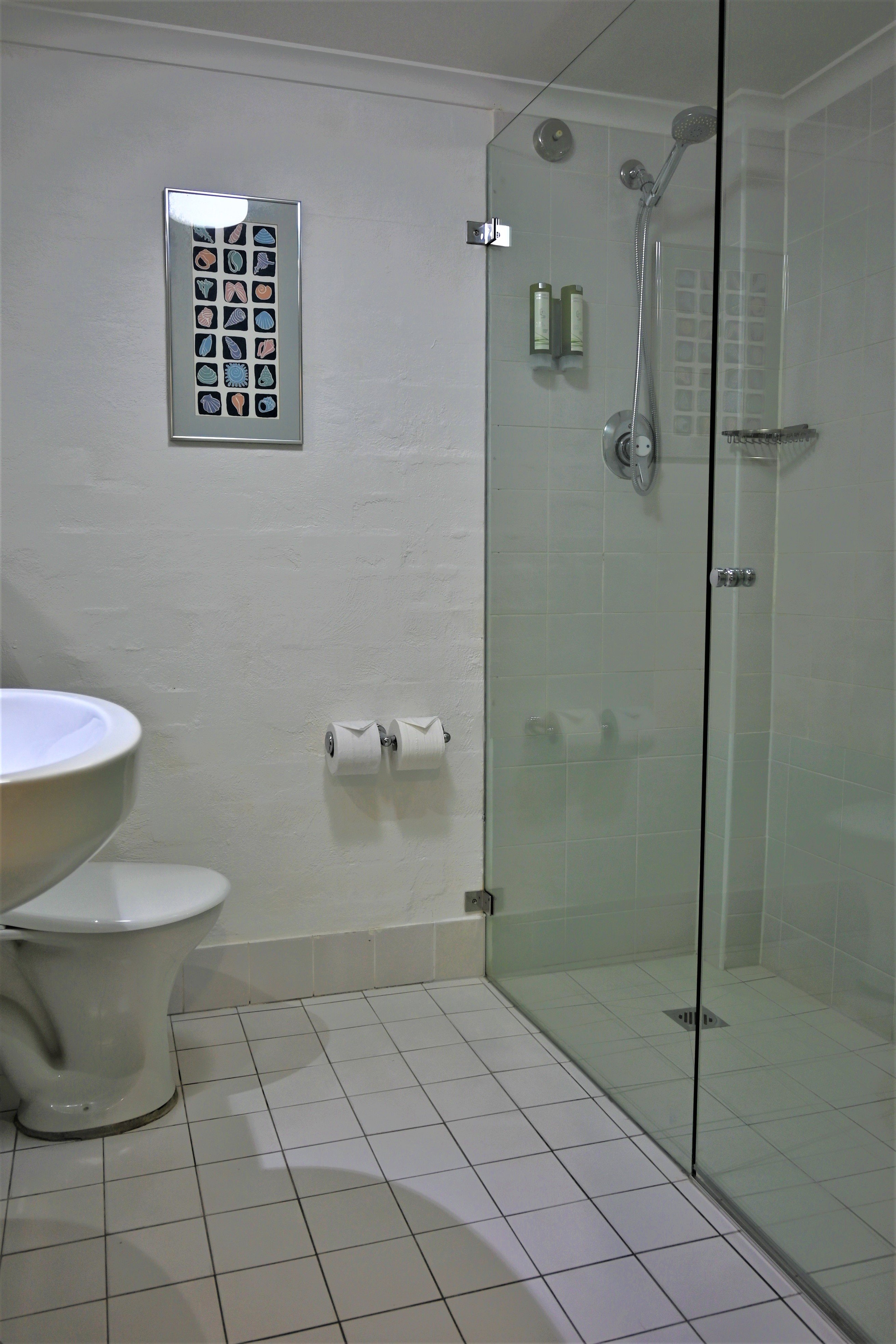 GRAND COUNTRY LODGE MOTEL MITTAGONG-guestroom-Executive King Shower.jpg