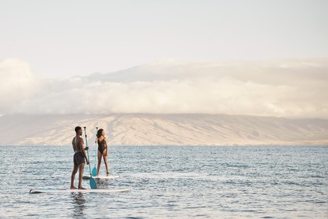 FOUR SEASONS RESORT MAUI AT WAILEA - Photo 23