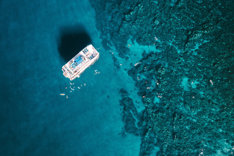 FOUR SEASONS RESORT MAUI AT WAILEA - Photo 50