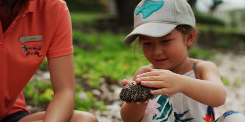 FOUR SEASONS RESORT MAUI AT WAILEA - Photo 54