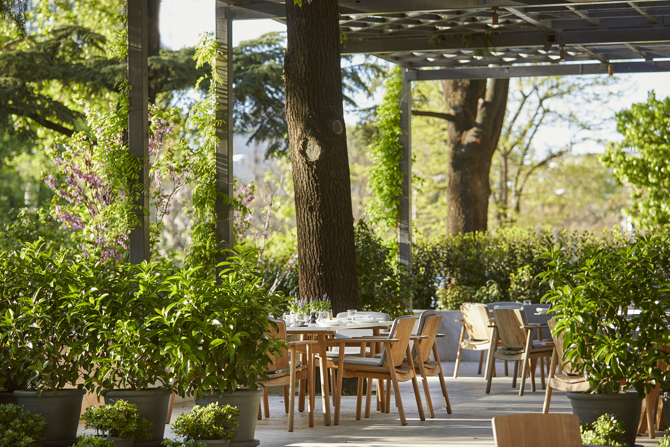 Rosewood Villa Magna in Madrid