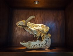  - Hotel Zaza Memorial City Houston - I-10, Exit 758