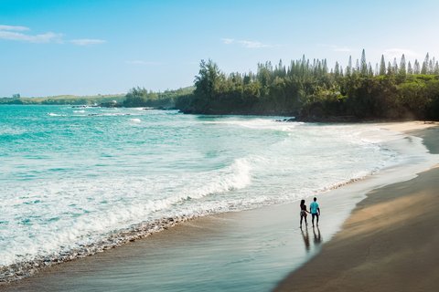 THE RITZ-CARLTON KAPALUA - Photo 172