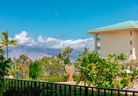 FOUR SEASONS RESORT MAUI AT WAILEA - Photo 67