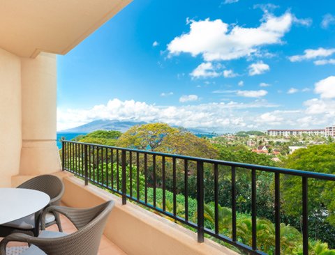 FOUR SEASONS RESORT MAUI AT WAILEA - Photo 73