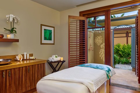 THE RITZ-CARLTON KAPALUA - Photo 236
