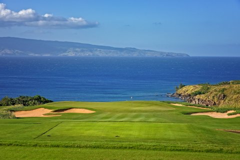 THE RITZ-CARLTON KAPALUA - Photo 215