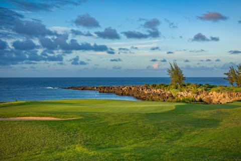 THE RITZ-CARLTON KAPALUA - Photo 216