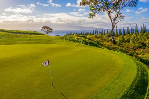 THE RITZ-CARLTON KAPALUA - Photo 220