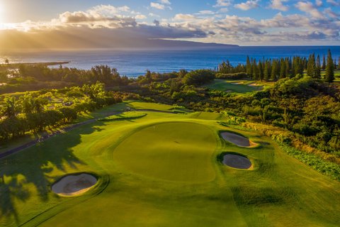 THE RITZ-CARLTON KAPALUA - Photo 219