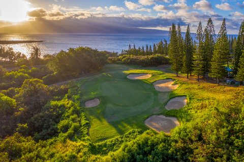 THE RITZ-CARLTON KAPALUA - Photo 218