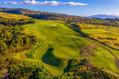 THE RITZ-CARLTON KAPALUA - Photo 221