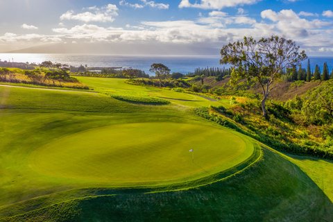 THE RITZ-CARLTON KAPALUA - Photo 222
