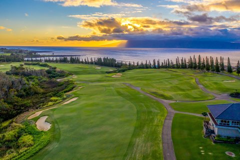 THE RITZ-CARLTON KAPALUA - Photo 223