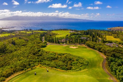 THE RITZ-CARLTON KAPALUA - Photo 224